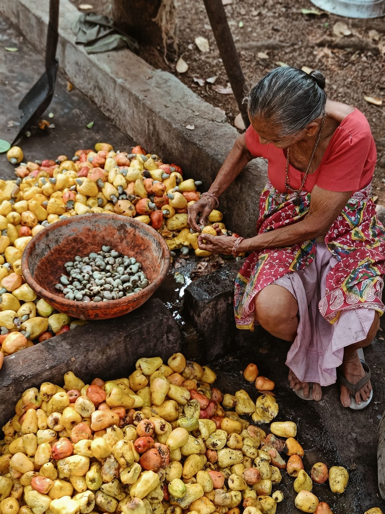 Sorting the cashew harvest at source